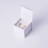 Złote kolczyki skrzydełka